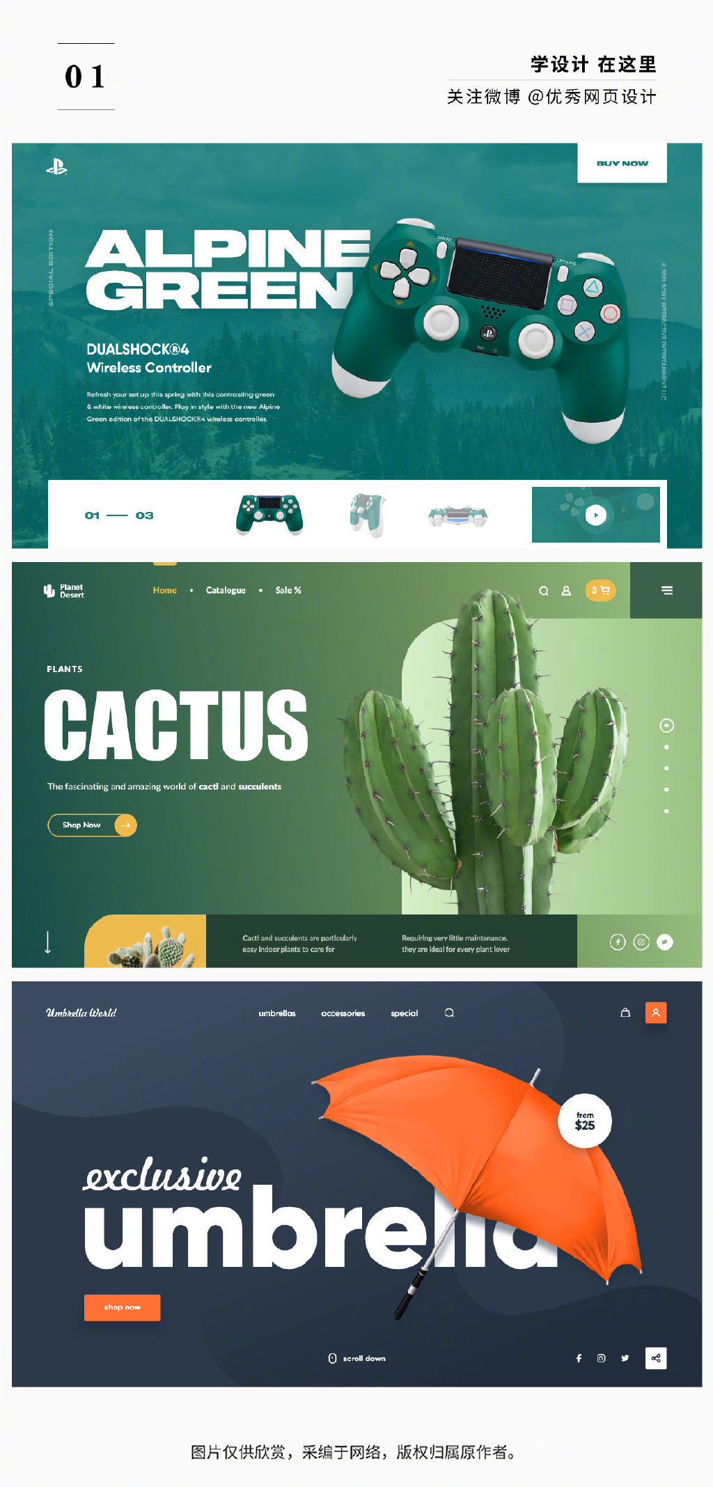 高端大氣國際范！從Anna Senkova的網頁設計中學習企業營銷策劃